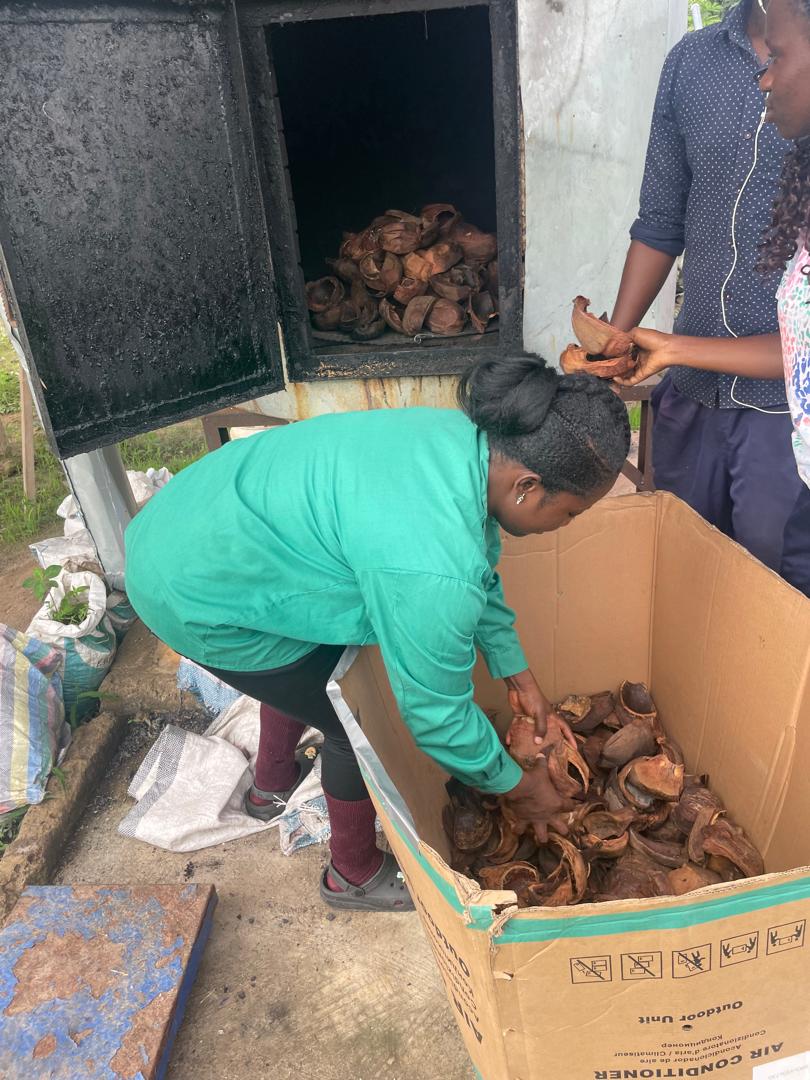 Ama Sakyiwaa Ofori-Kyere (PhD Bioengineering Candidate)